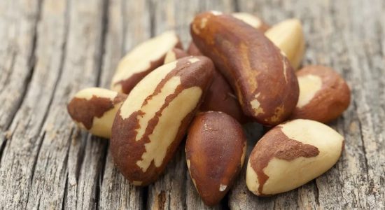 Contaminação por aflatoxina em castanha do Brasil combatida com Ozônio