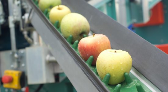 Ozônio na indústria de alimentos - myOZONE