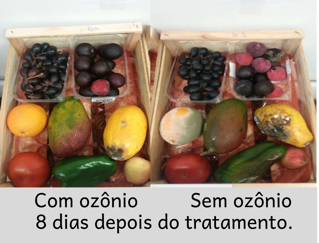 Tratamento com ozônio de frutas verduras e legumes - Oitavo dia