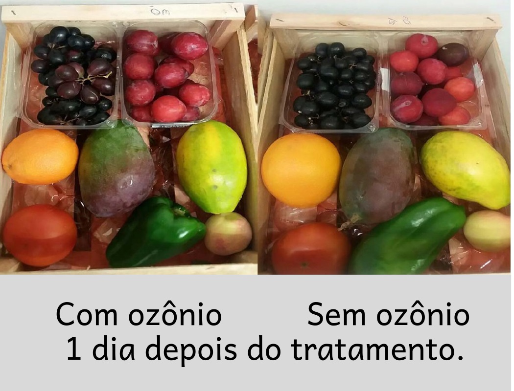 Tratamento com ozônio de frutas verduras e legumes - Primeiro dia