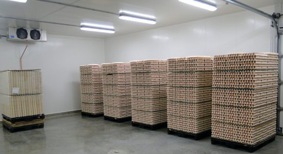 Desinfecção de ovos com Ozônio substituindo o formaldeído - myOZONE