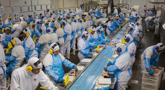 Ozonio uma alternativa segura para indústria de alimentos