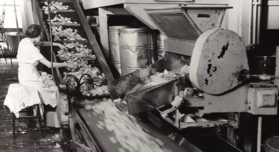 Aplicação do ozônio em alimentos, história e evolução